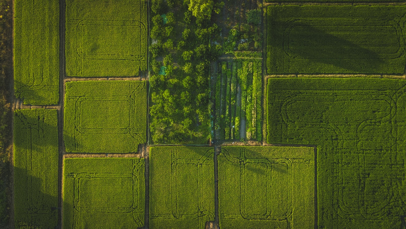 Top-down drone photograph of agricultural fields